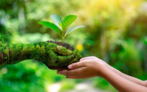 GHG Carbon Accounting Software